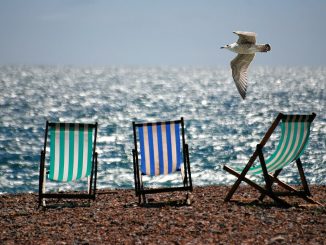 Seguir publicando en verano